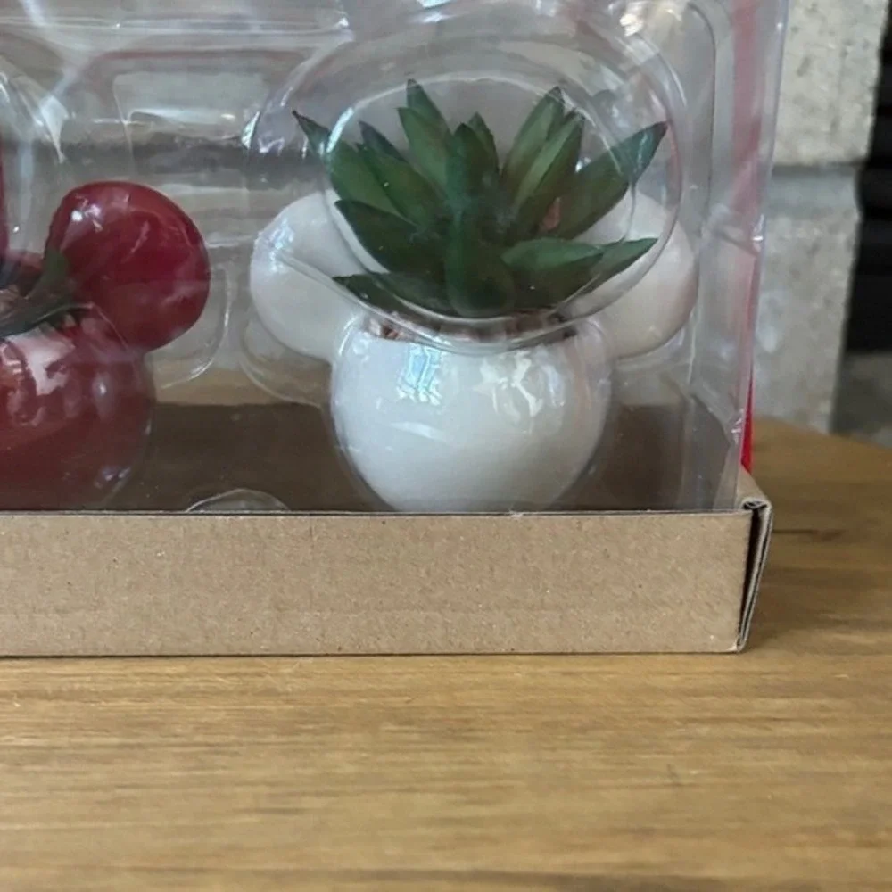 Celebrate Together Valentines Day Set of Three Mickey Mouse Planters w/Succulent